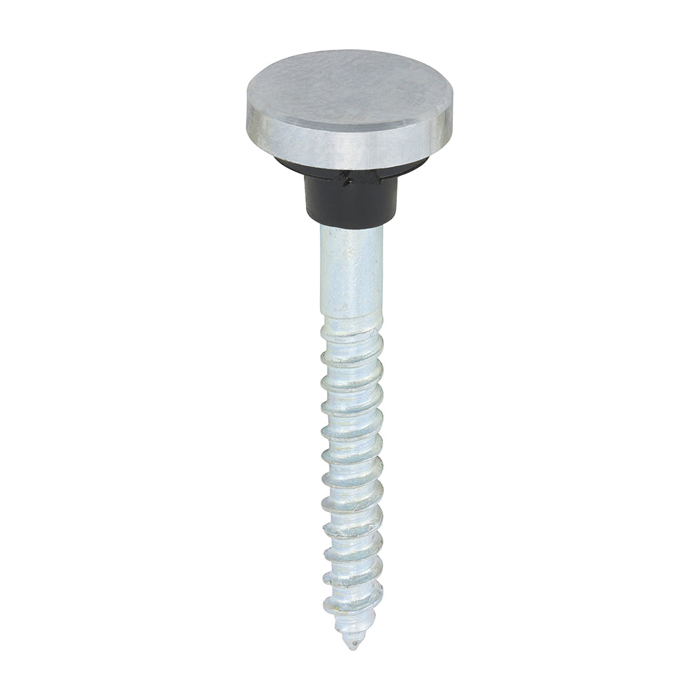 This is an image of Timco - Mirror Screws - Zinc - Chrome Flat 8 x 1 1/2" - (8 PCS TIMpac) 08112FCMIRP
