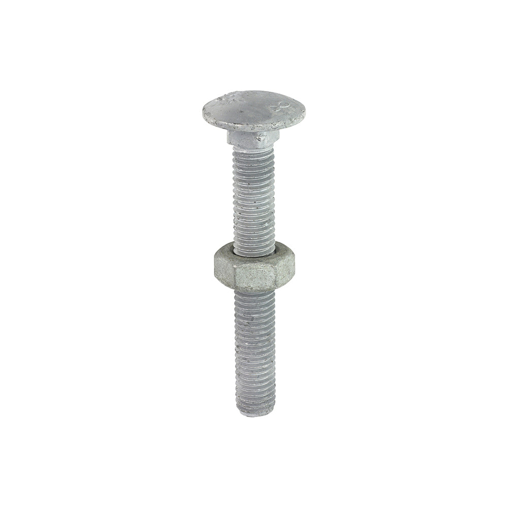 This is an image of Timco - Carriage Bolts & Hex Nuts - Hot Dipped Galvanised M10 x 75mm - (50 PCS Box) 1075CBG