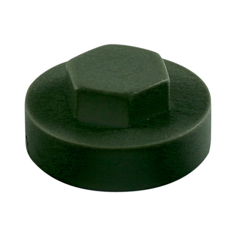 This is an image of Timco - Hex Head Cover Caps - Juniper Green 16mm - (1000 PCS Bag) 1612B29CAP