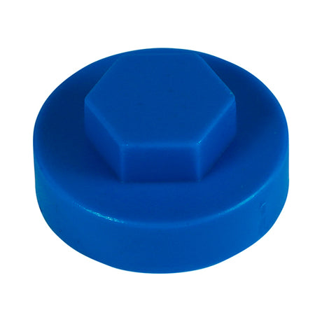 This is an image of Timco - Hex Head Cover Caps - Britannia 16mm - (1000 PCS Bag) 1618E58CAP
