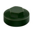 This is an image of Timco - Hex Head Cover Caps - Juniper Green 19mm - (1000 PCS Bag) 1912B29CAP