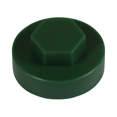 This is an image of Timco - Hex Head Cover Caps - Pinewood 19mm - (1000 PCS Bag) 1914C39CAP