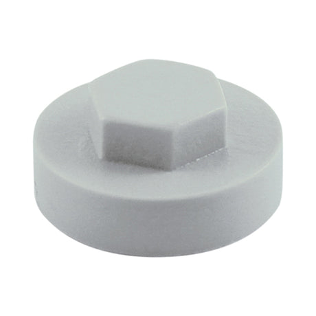 This is an image of Timco - Hex Head Cover Caps - Oyster 19mm - (1000 PCS Bag) 19RAL7035CAP