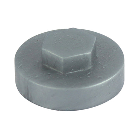 This is an image of Timco - Hex Head Cover Caps - Dark Silver 19mm - (1000 PCS Bag) 19RAL9007CAP