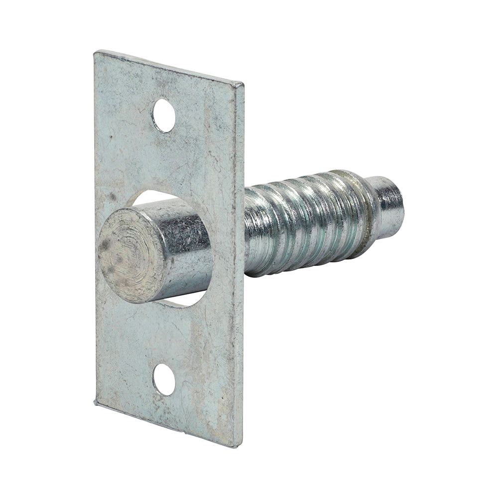 This is an image of Timco - Hinge Bolts - Zinc 48mm (2 Pieces TIMpac) 200999P