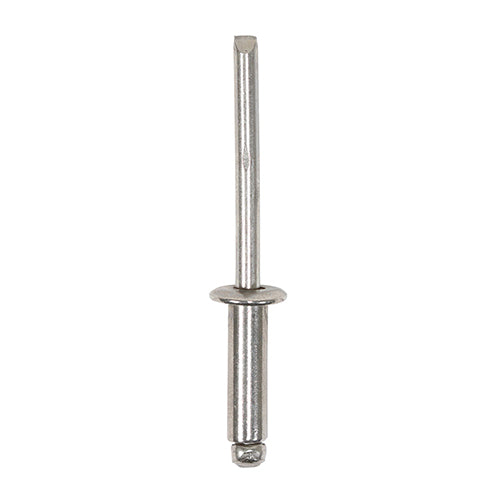 This is an image of Timco - Rivets - Dome Head - Stainless Steel 3.2 x 8mm - (99 PCS TIMpac) 748613P