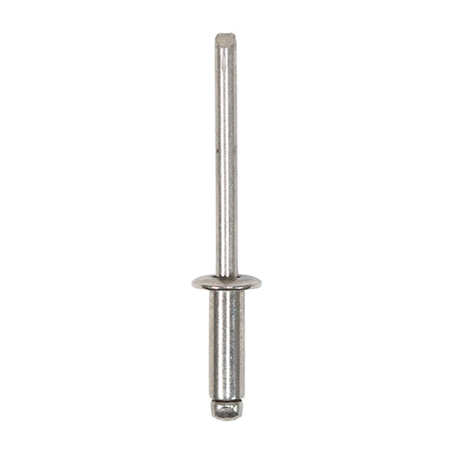 This is an image of Timco - Rivets - Dome Head - A2 Stainless Steel 4.8 x 14mm - (250 PCS Box) 748868