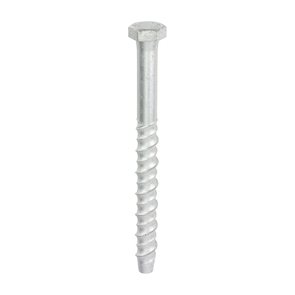 This is an image of Timco - Multi-Fix Masonry Bolts - Hex - Exterior - Silver 12.0 x 150mm - (25 PCS Box) MF12150