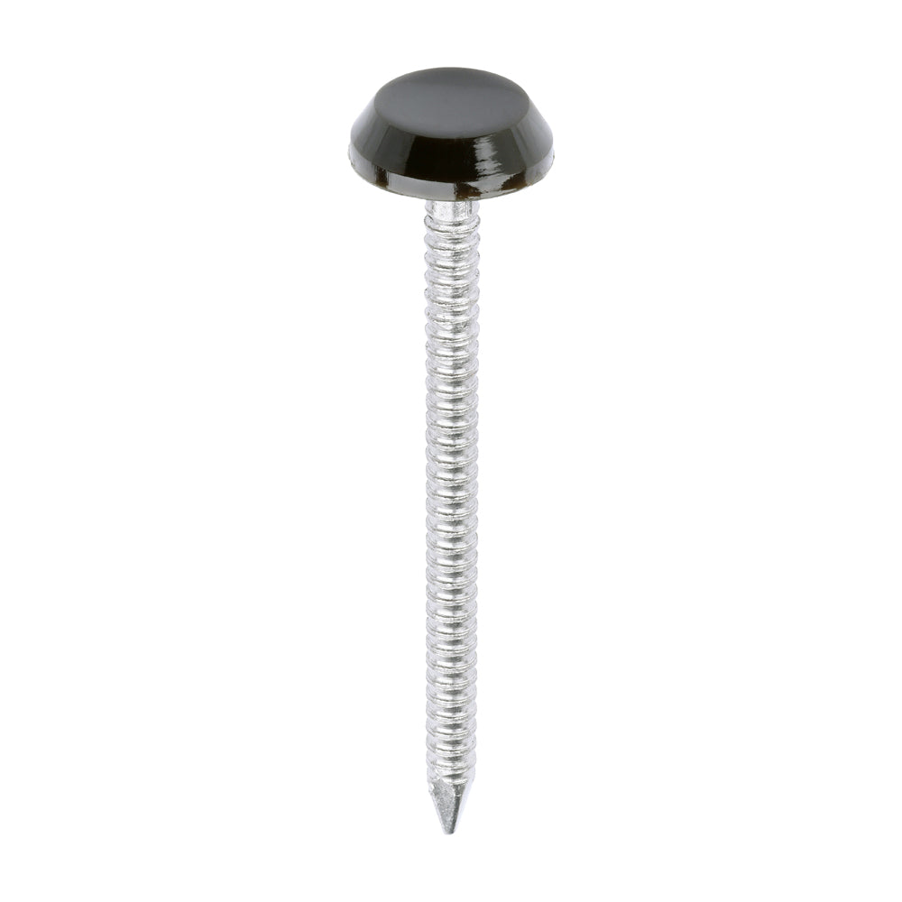 This is an image of Timco - Polymer Headed Nails - A4 Stainless Steel - Mahogany 50mm (100 PCS Box) PN50BR