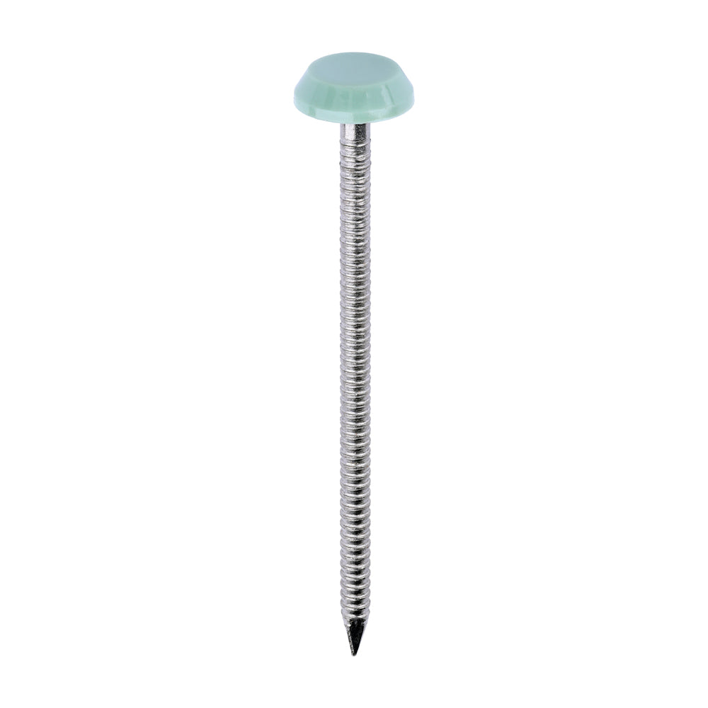 This is an image of Timco - Polymer Headed Nails - A4 Stainless Steel - Chartwell Green 65mm (100 PCS Box) PN65CG