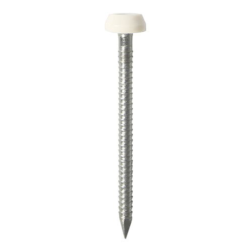 This is an image of Timco - Polymer Headed Pins - Stainless Steel - White 25mm (65 PCS TIMpac) PP25WP