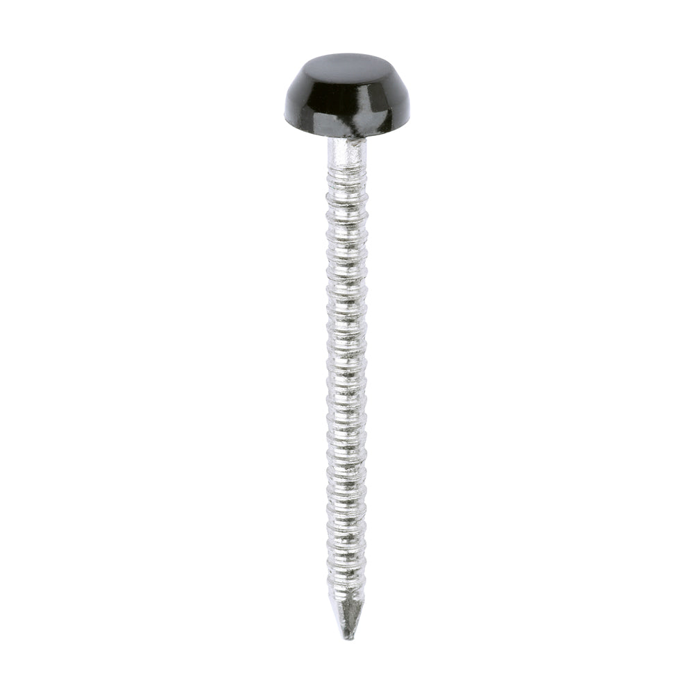 This is an image of Timco - Polymer Headed Pins - A4 Stainless Steel - Black 30mm (250 PCS Box) PP30BL