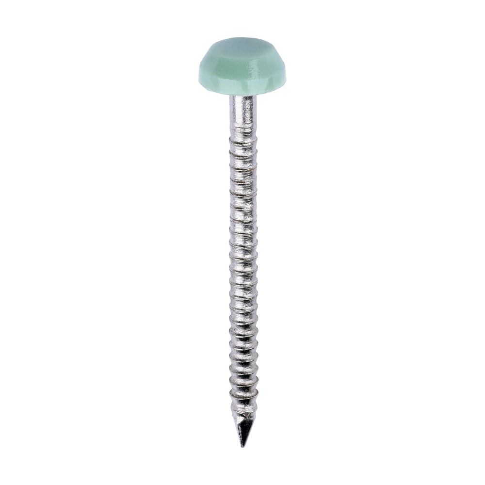 This is an image of Timco - Polymer Headed Pins - A4 Stainless Steel - Chartwell Green 30mm (250 PCS Box) PP30CG