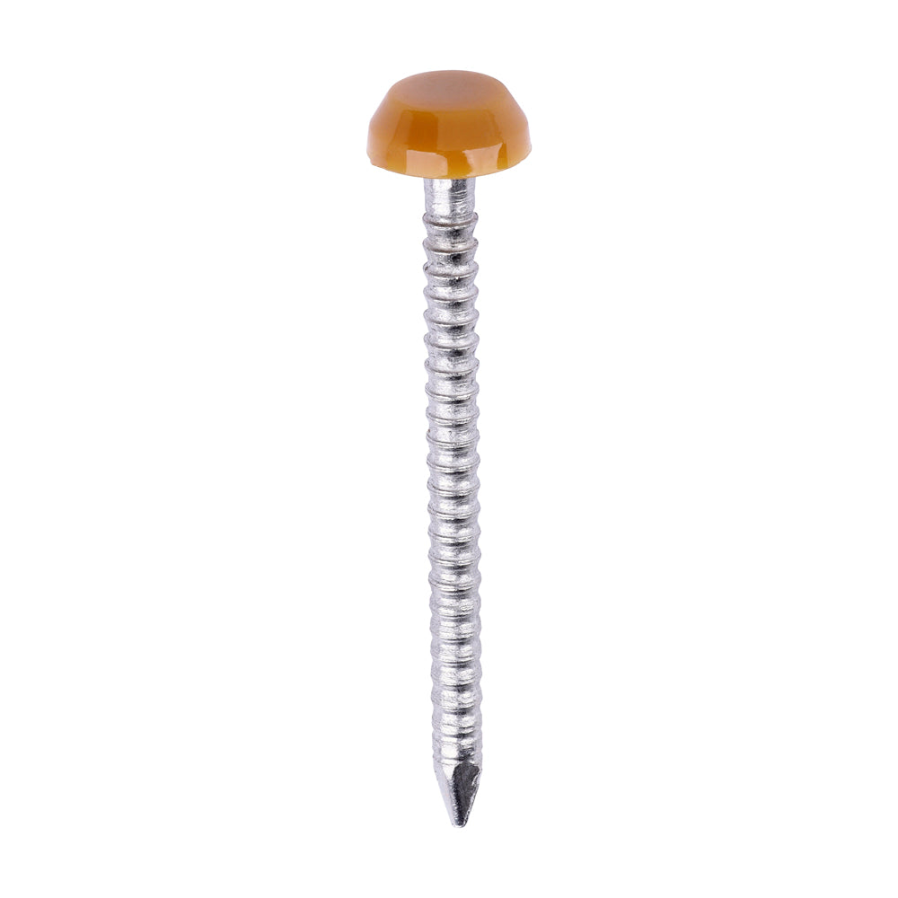 This is an image of Timco - Polymer Headed Pins - A4 Stainless Steel - Oak 30mm (250 PCS Box) PP30O