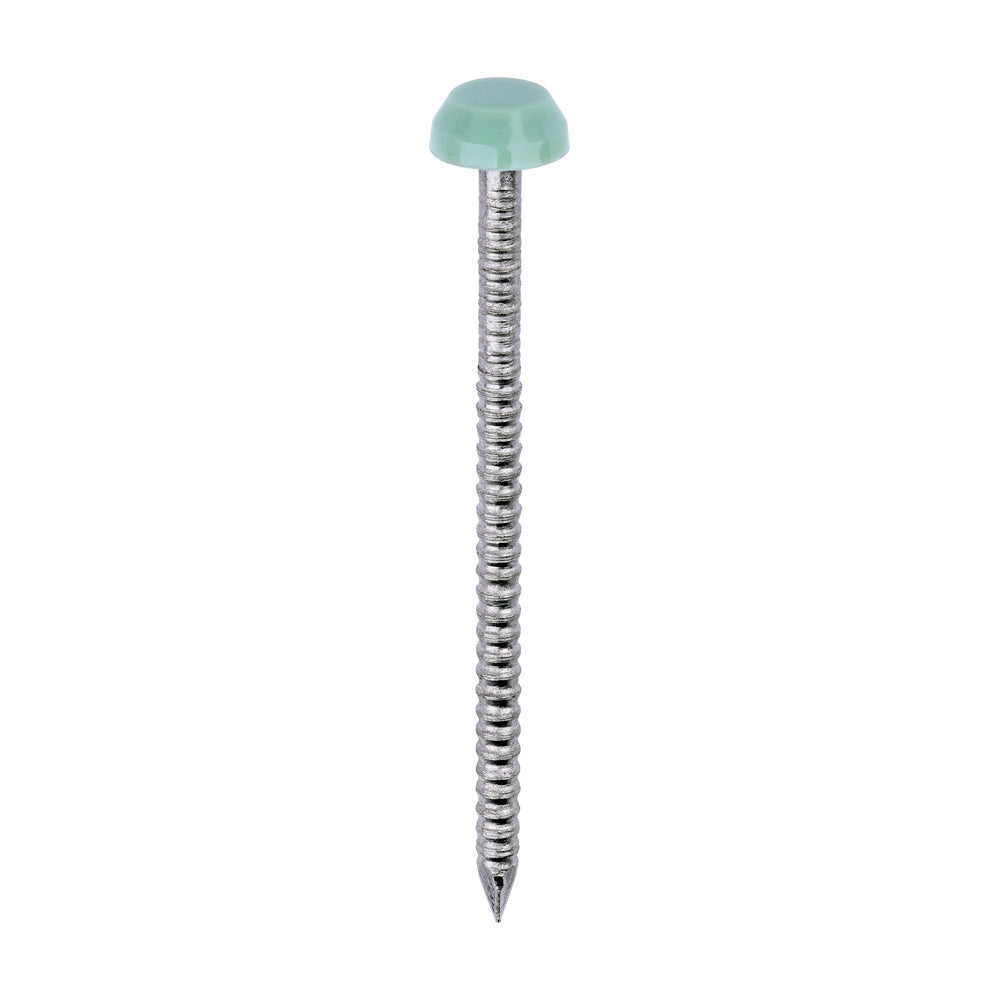 This is an image of Timco - Polymer Headed Pins - A4 Stainless Steel - Chartwell Green 40mm (250 PCS Box) PP40CG