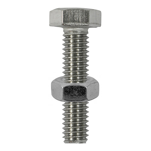 This is an image of Timco - Set Screws & Hex Nuts - Stainless Steel M10 x 100mm - (2 PCS TIMpac) S10100SSP