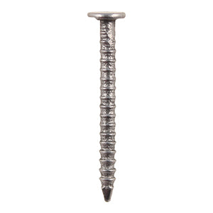 Annular Ringshank - Bright Nails Next Day Delivery
