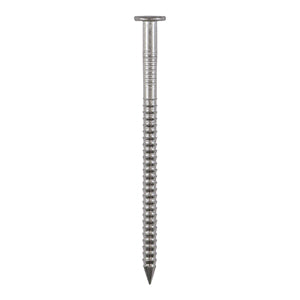 Annular Ringshank - Stainless Steel Nails Next Day Delivery