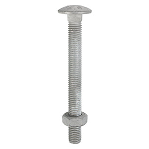 Carriage Bolts & Nut - Hot Dipped Galvanised Next Day Delivery