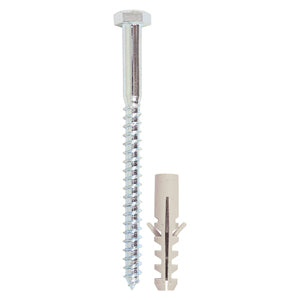 Coach Screws & Nylon Plugs
