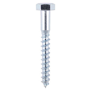 Coach Screws - Zinc