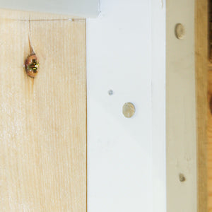 Pins