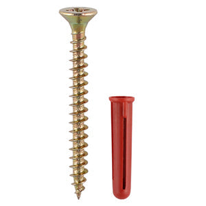 Screws & Plastic Plugs Next Day Delivery