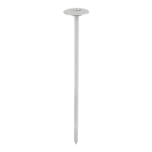Slab - Galvanised Nails Next Day Delivery