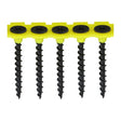 This is an image of Timco - Collated Drywall Screws - PH - Bugle - Coarse Thread - Black 3.5 x 25mm - (1000 PCS Box) 00025COLDYS