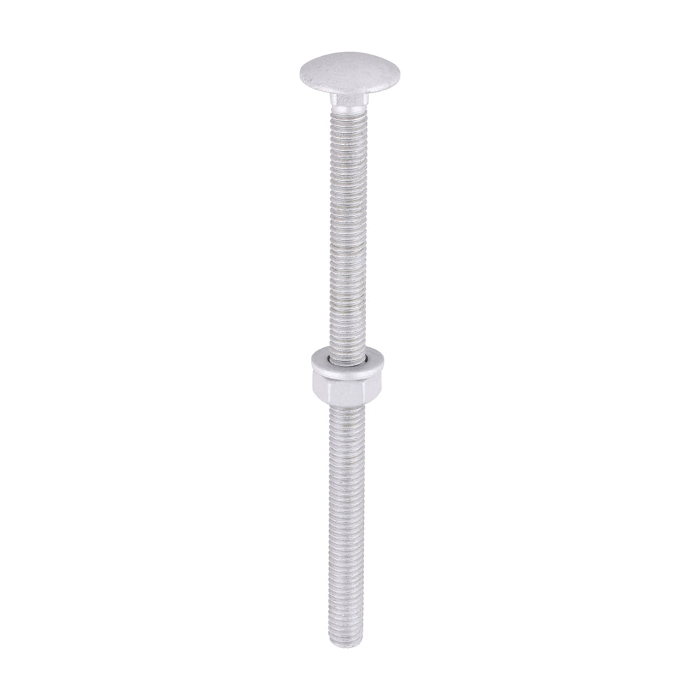 This is an image of Timco - Carriage Bolts Hex Nuts & Form A Washers - Dome - Exterior - Silver M6 x 100mm - (10 PCS TIMbag) 06100CBI