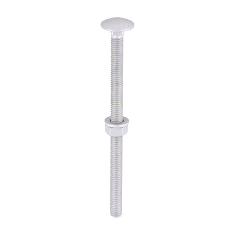This is an image of Timco - Carriage Bolts Hex Nuts & Form A Washers - Dome - Exterior - Silver M6 x 100mm - (10 PCS TIMbag) 06100CBI