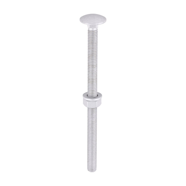 This is an image of Timco - Carriage Bolts Hex Nuts & Form A Washers - Dome - Exterior - Silver M6 x 100mm - (10 PCS TIMbag) 06100CBI
