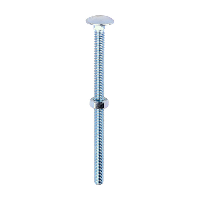 This is an image of Timco - Carriage Bolts & Hex Nuts - Zinc M6 x 100mm - (100 PCS Box) 06100CB