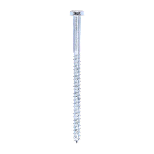 This is an image of Timco - Coach Screws - Hex - Zinc 6.0 x 100mm - (200 PCS Box) 06100CSC