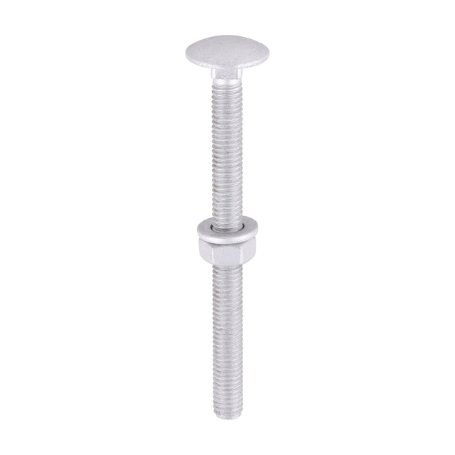 This is an image of Timco - Carriage Bolts Hex Nuts & Form A Washers - Dome - Exterior - Silver M6 x 75mm - (10 PCS TIMbag) 0675CBI