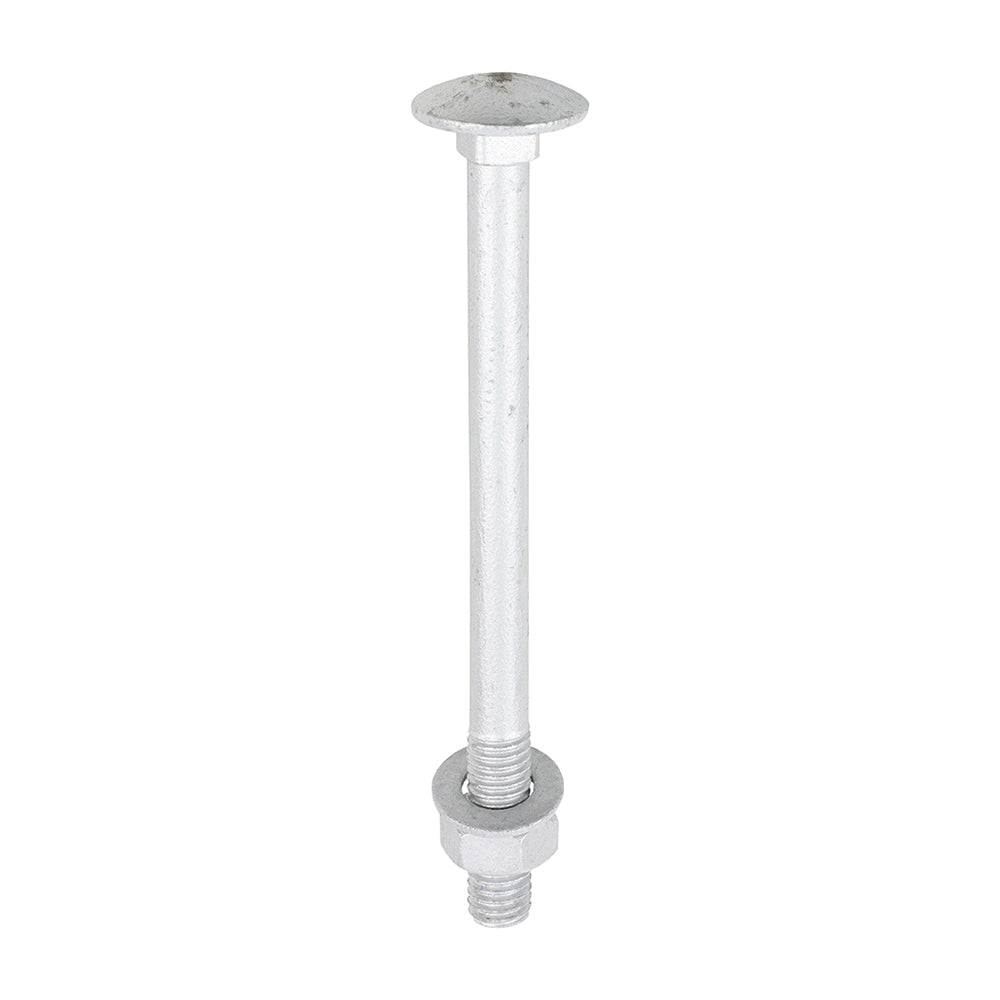 This is an image of Timco - Carriage Bolts Hex Nuts & Form A Washers - Dome - Exterior - Silver M8 x 100mm - (10 PCS TIMbag) 08100CBI