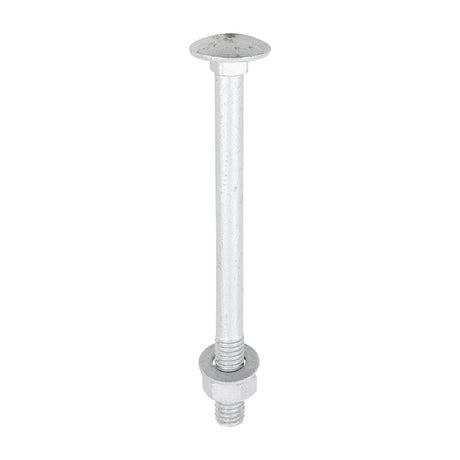 This is an image of Timco - Carriage Bolts Hex Nuts & Form A Washers - Dome - Exterior - Silver M8 x 100mm - (10 PCS TIMbag) 08100CBI