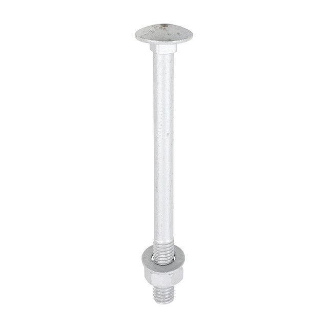 This is an image of Timco - Carriage Bolts Hex Nuts & Form A Washers - Dome - Exterior - Silver M8 x 100mm - (10 PCS TIMbag) 08100CBI