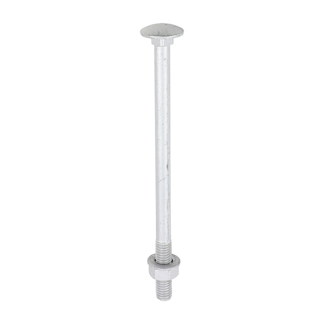 This is an image of Timco - Carriage Bolts Hex Nuts & Form A Washers - Dome - Exterior - Silver M8 x 130mm - (10 PCS TIMbag) 08130CBI