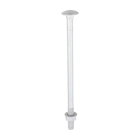 This is an image of Timco - Carriage Bolts Hex Nuts & Form A Washers - Dome - Exterior - Silver M8 x 150mm - (10 PCS TIMbag) 08150CBI