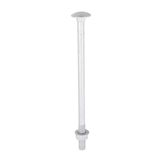 This is an image of Timco - Carriage Bolts Hex Nuts & Form A Washers - Dome - Exterior - Silver M8 x 150mm - (10 PCS TIMbag) 08150CBI