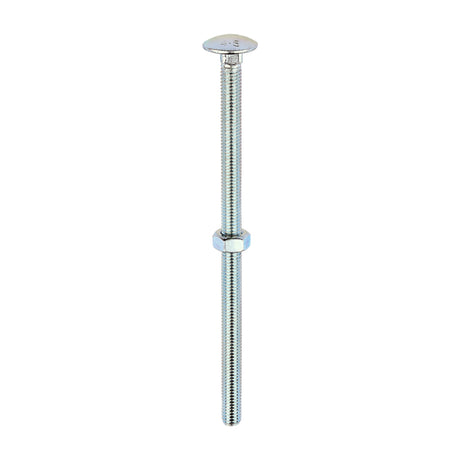 This is an image of Timco - Carriage Bolts & Hex Nuts - Zinc M8 x 150mm - (25 PCS Box) 08150CB