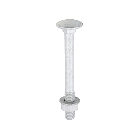 This is an image of Timco - Carriage Bolts Hex Nuts & Form A Washers - Dome - Exterior - Silver M8 x 75mm - (10 PCS TIMbag) 0875CBI