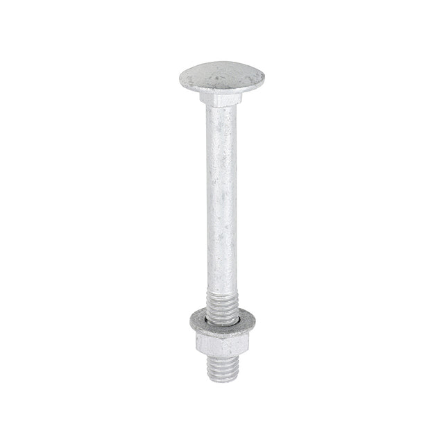This is an image of Timco - Carriage Bolts Hex Nuts & Form A Washers - Dome - Exterior - Silver M8 x 75mm - (10 PCS TIMbag) 0875CBI