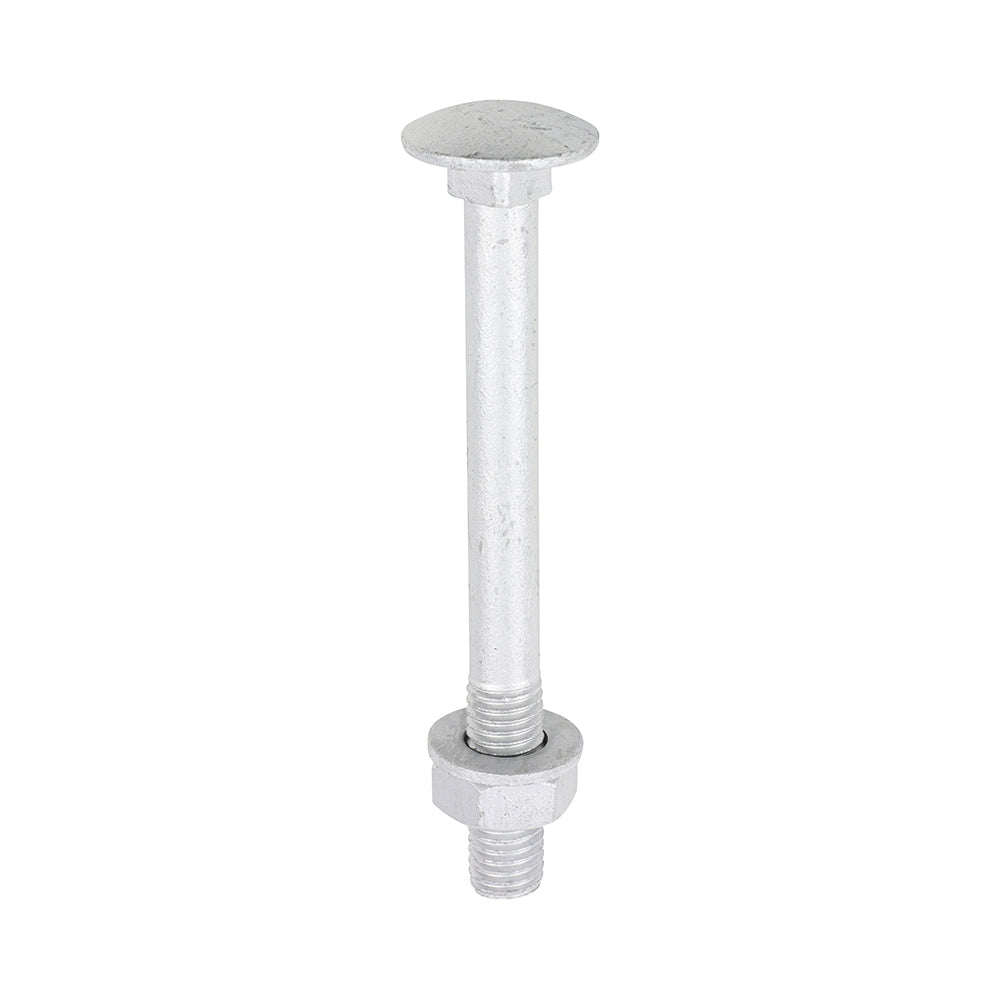 This is an image of Timco - Carriage Bolts Hex Nuts & Form A Washers - Dome - Exterior - Silver M10 x 100mm - (10 PCS TIMbag) 10100CBI