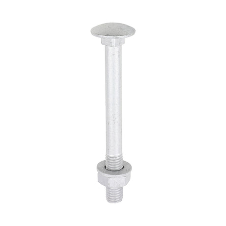 This is an image of Timco - Carriage Bolts Hex Nuts & Form A Washers - Dome - Exterior - Silver M10 x 100mm - (10 PCS TIMbag) 10100CBI