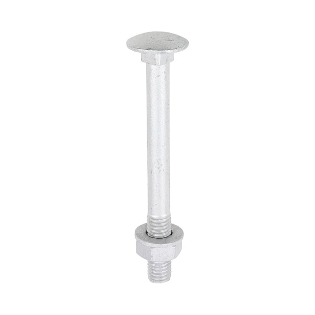 This is an image of Timco - Carriage Bolts Hex Nuts & Form A Washers - Dome - Exterior - Silver M10 x 100mm - (10 PCS TIMbag) 10100CBI