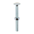 This is an image of Timco - Carriage Bolts & Hex Nuts - Zinc M10 x 100mm - (25 PCS Box) 10100CB