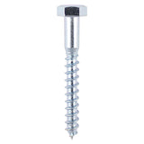 This is an image of Timco - Coach Screws - Hex - Zinc 10.0 x 100mm - (2 PCS TIMpac) 10100CSCP