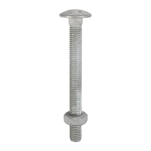 This is an image of Timco - Carriage Bolts & Hex Nuts - Hot Dipped Galvanised M10 x 130mm - (25 PCS Box) 10130CBG
